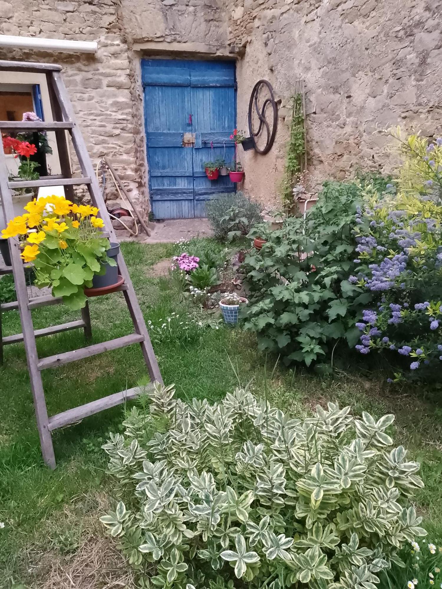 Maison Isivier Magrie Luaran gambar
